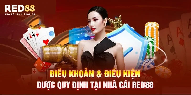 Tổng hợp nội dung trong điều kiện điều khoản Red88