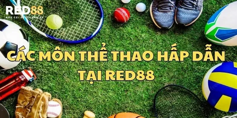 Tổng hợp một số bộ môn tại thể thao Red88