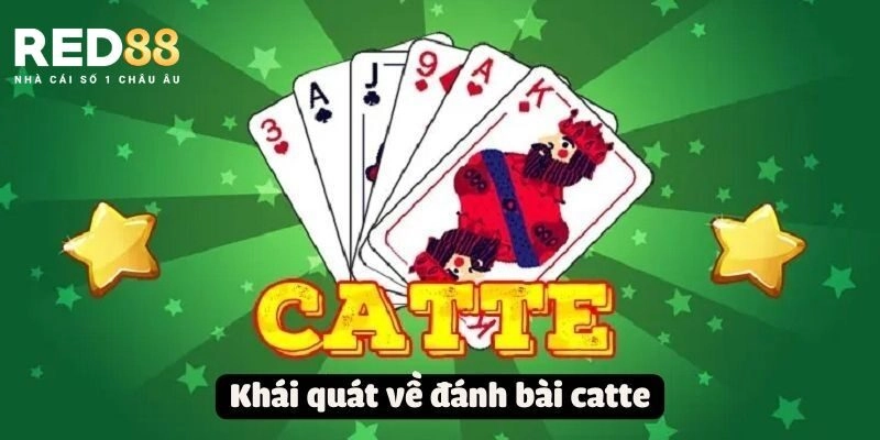 Đôi nét cơ bản về game bài catte